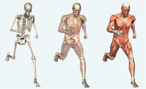 10 любопитни факта за човешкото тяло