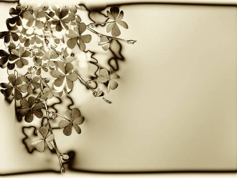 Символи за късмет и предпазване от лоши „очи“