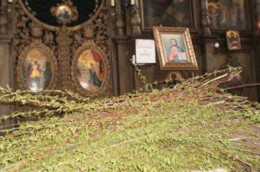 Какво символизира върбовата клонка на Цветница?