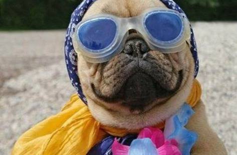 Добро утро в понеделник!