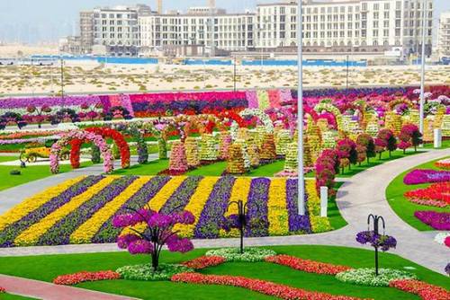 Най-голямата цветна градина в света