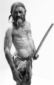 Палео диетата – ядем това, за което сме създадени