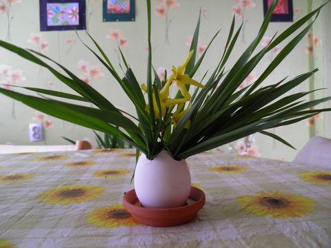 Жива трева за Великден