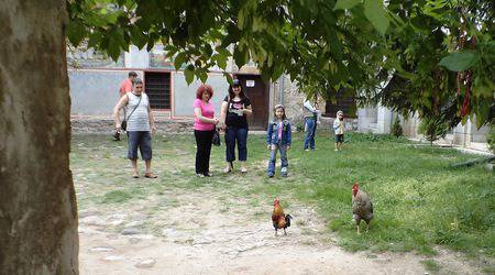 Бой на петли в Бачковски манастир
