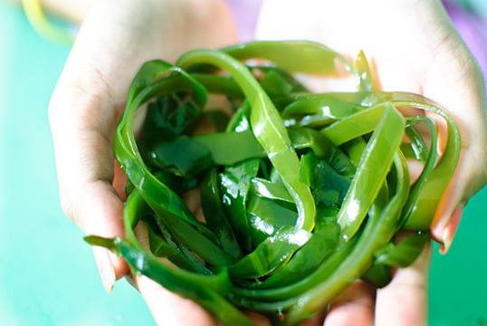 Лекувайте стомаха си с водорасли! Те са 20 пъти по-богати на минерали от зеленчуците