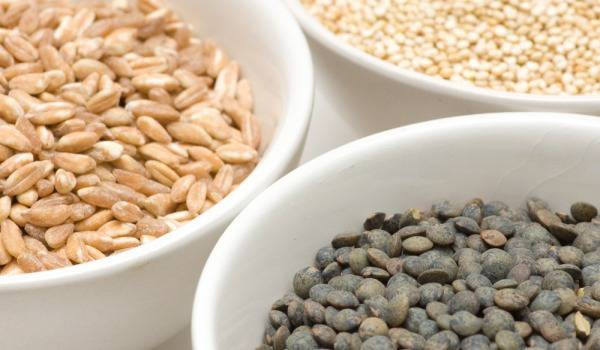 Лимец, спелта и камут – алтернатива на житото