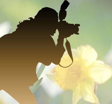 Пролетен фотоконкурс „Моят уютен дом“