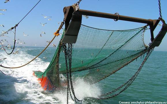 В 5 зони на Черно море ще се извършва рапаноулов