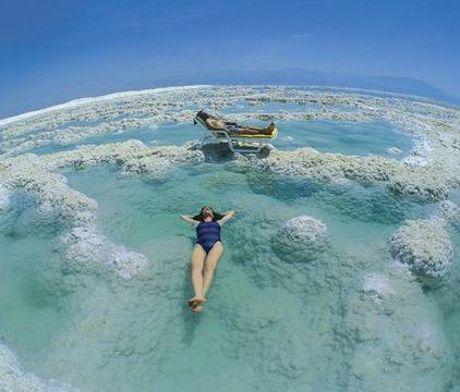 Авто Травел