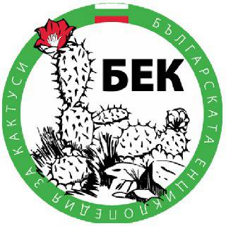 Кактуси от Клеман