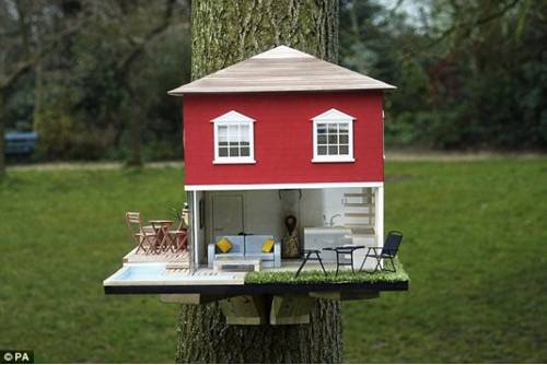 Луксозна къщичка за птички