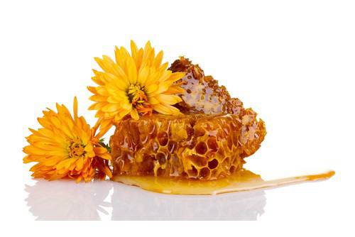 Лечение с прополис – пчелен клей