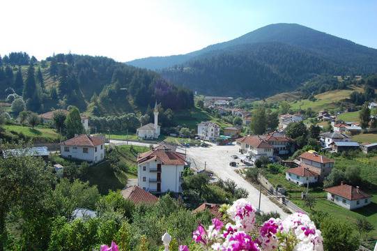 в село Ягодина – Вила Панорама