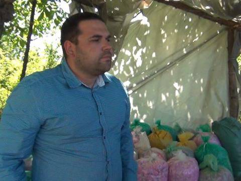 Люта война за гюла в Подбалкана