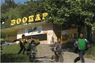 Животни изчезват мистериозно от зоопарк до ромската махала в Благоевград