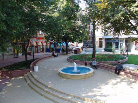 Ето избраните народни представители в Хасково