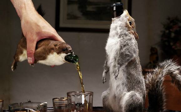 10-те най-скъпи и най-интересни марки бира в света