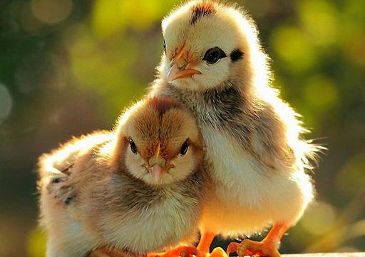 инсталиране на Windows 7 – Сервиз компютри „Изток“