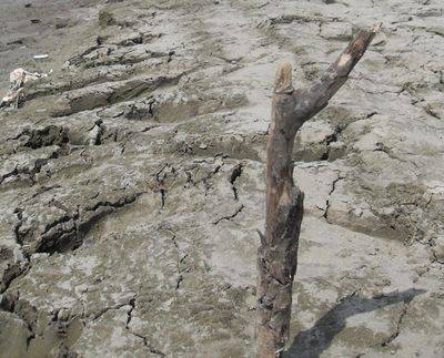 Душите ни пресъхват