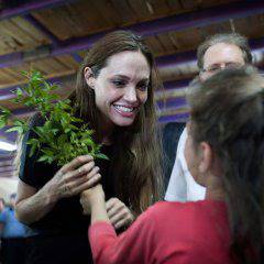 Анджелина Джоли прави филм за майка си