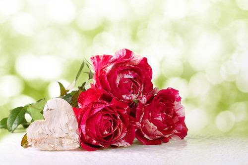 Благодаря ви мили хора и приятели!