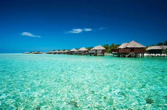 Нереално красив: Стъкленият подводен хотел в Малайзия видяна 6159 коментари 4