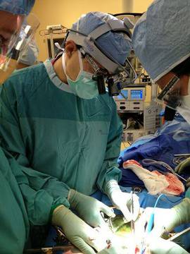 Проф. д-р Никола Владов: 33-годишният с трансплантиран черен дроб е добре – не е отхвърлил органа!