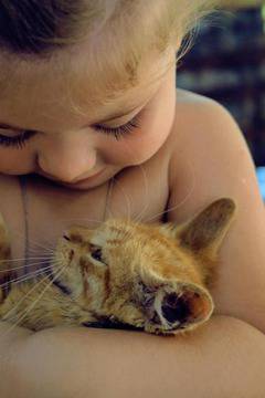 За котките и децата видяна 2491 коментари 0