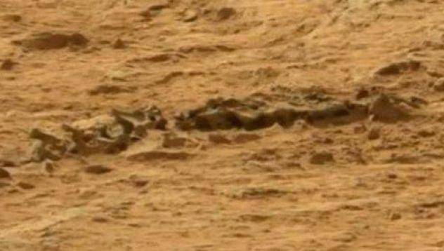 Заснеха „гущер“ на Марс (видео)
