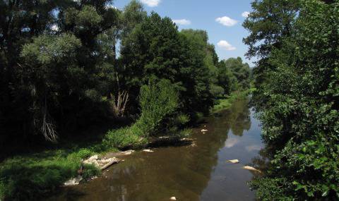 SOS за село Дъбовица