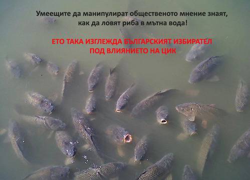 Да продадеш бъдещето си за 100 лв или как изглежда българският избирател под влиянието на ЦИК.