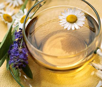 Чаят от лайка блокира раковите клетки