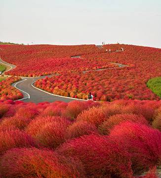 Добрите новини: 10 невероятно изглеждащи места, които са реално съществуващи