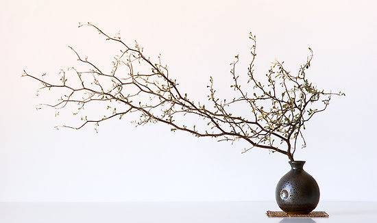 4 стъпки за създаване на уникален декор от клони