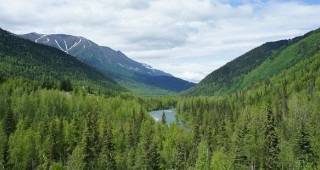 В Чипровци и Криводол ще бъдат представени горските мерки от ПРСР