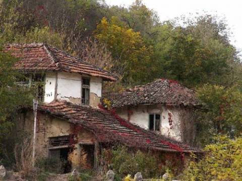 За петата ракия или колко е хубав животът