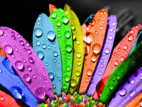 Да си върнем енергията на работното място