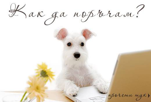 Ръчно изработени дрешки и аксесоари за вашите домашни любимци