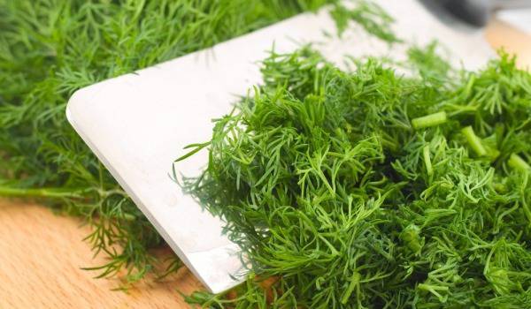 Мента и копър срещу киселини в стомаха