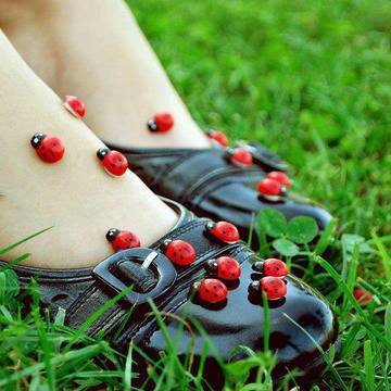 Знаете ли, че… калинката ….