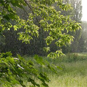 Юни по-хладен от обичайното 1 1951