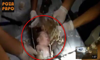 УЖАС! Живо бебе се озова в тоалетната