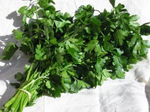 Магданозът лекува задържане на течности в организма!