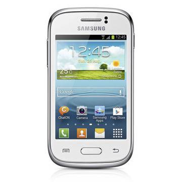 Samsung Galaxy Young S6310