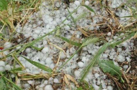 Градушка в Казанлъшко