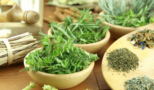 Ефективни билкови рецепти за всеки