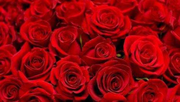 Летище София посреща пътници с българска маслодайна роза