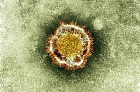 Първи случаи на коронавирус в Италия