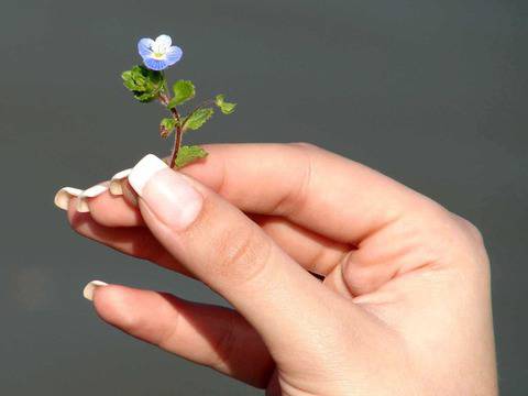 Как да премахнем жълтите петна от ноктите