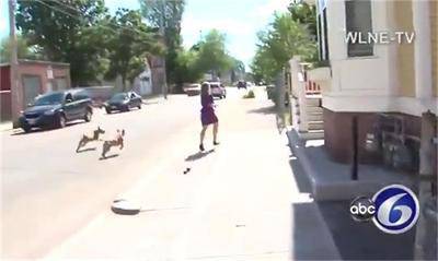 Питбули нападнаха американска репортерка (видео)